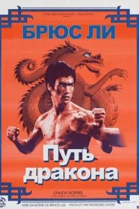  Путь дракона 