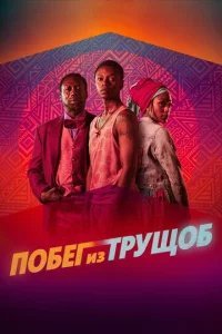  Побег из трущоб 