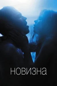  Новизна 