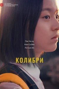  Колибри 