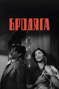  Бродяга 