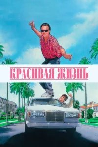  Красивая жизнь 