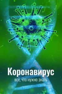 Коронавирус. Все, что нужно знать 