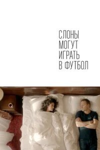  Слоны могут играть в футбол 